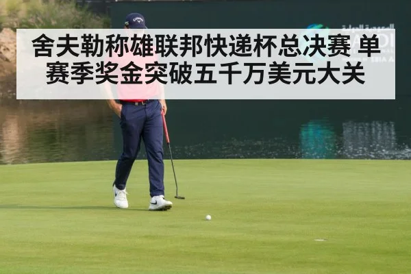 舍夫勒称雄联邦快递杯总决赛 单赛季奖金突破五千万美元大关